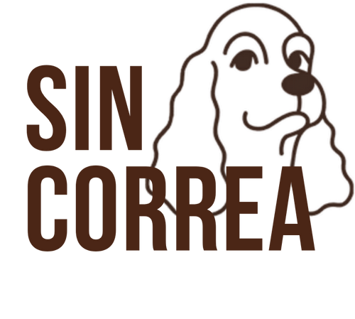 Sin Correa